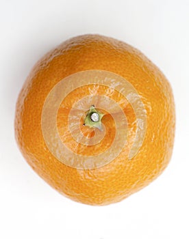 A single Satsuma