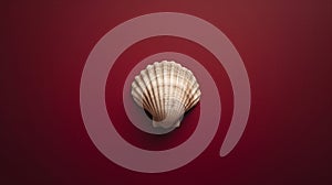 A single seashell, delicately placed against a colored background, captures the essence of the ocean