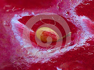 Single seed on surface of strawberry at high magnification
