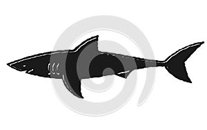 A single shark outline shape silhouette against a white backdrop