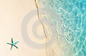 Single shell on the beach, seashell on the sand