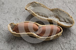 Single shelled roasted peanut close up