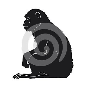 Single silhouette of realistic monkey sitting side view