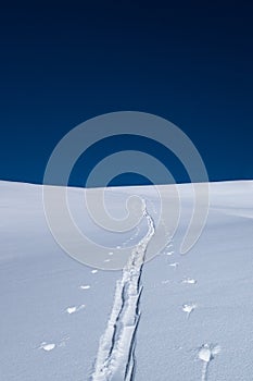 A single ski touring track leading into distance in winter