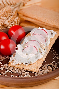 Single slice of crispy bread with curd cheese and radishes