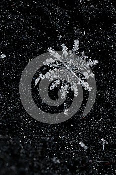 Single snowflake detail photo