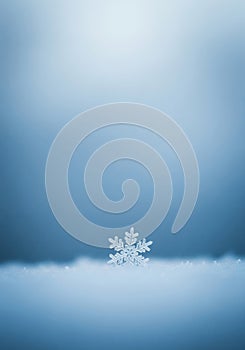 Single Snowflake on Snow in Blue Light on Blue Background