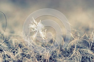 Single snowflake on a wool mitten