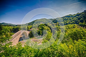 Single span bridge in green countryside