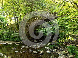 A single span packhorse bridge crosses a small river