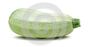 Single squash vegetable marrow zucchini isolated