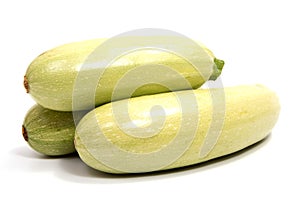 Single squash vegetable marrow zucchini isolated