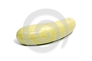 Single squash vegetable marrow zucchini isolated