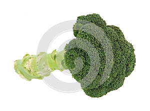 Single stalk broccoli