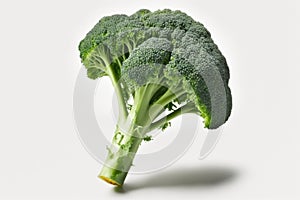 A single stalk of fresh broccoli against a white background. Integrated clipping path