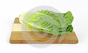 Single Stalk Romaine Lettuce