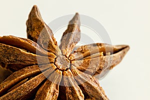 Single star anise close-up with white background