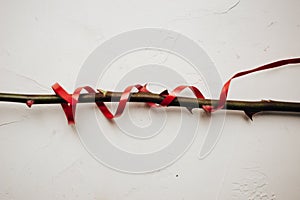 Single stem of a rose with thorns and red ribbon on white plastered background, texture, copy space