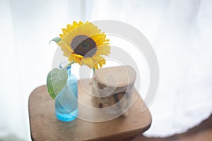 Single stem sunflower in glass vase and squirrel plush toy on wooden table with white curtain