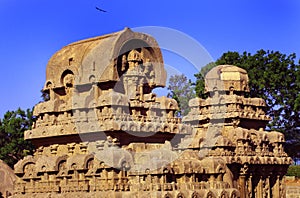Single stone sculptured hall towers in mahabalipuram- five rathas