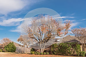 Single story bungalow houses in suburbs of Dallas with bright fall foliage colors