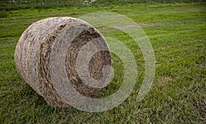 Single straw bale on the reen grass field