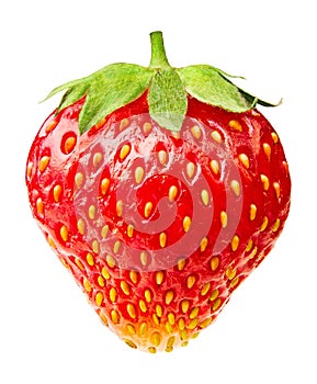 Single strawberry