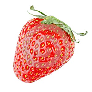 Single strawberry fruit