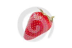 Single strawberry fruit isolated on white background