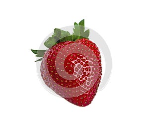 Single strawberry fruit isolated on white background