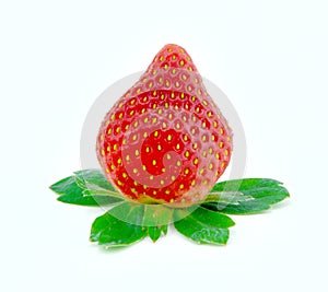 Single strawberry with green leaf in the white background