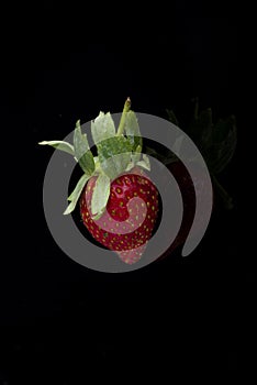 A single strawberry isolated on black