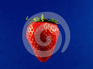 Single Strawberry Isolated on a Mottled Blue Background