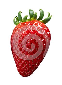 Single strawberry isolated