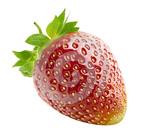 Single strawberry isolated on white background