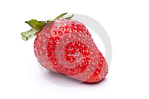 A single strawberry isolated on white background