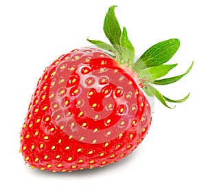 Single strawberry isolated on white background. macro. clipping path
