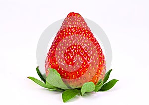 a single strawberry