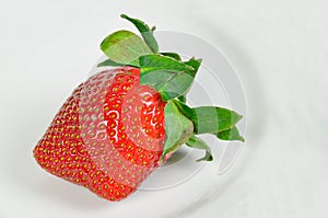 Single Strawberry on white plate