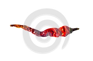 The single sun dried red chili, isolated on white background.