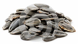 Single sunflower seeds isolated on pure white background for optimal search relevance photo