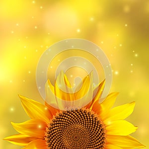 A single sunflower on a yellow background