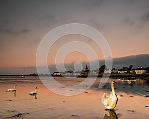 A single swan standing in low tide water suring sunrise at bosham quay in west sussex uk