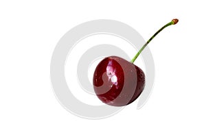 Single sweet cherry