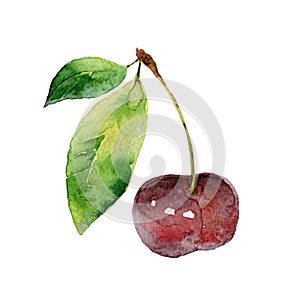 Single sweet cherry on white background