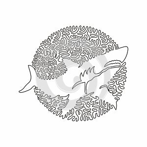 Continuous line drawing design vector illustration style of pointed snouts shark photo