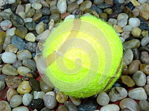 Single tennis balls