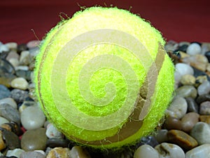 Single tennis balls