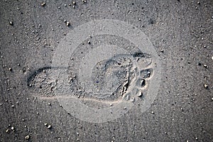 Single textured footprint in sand