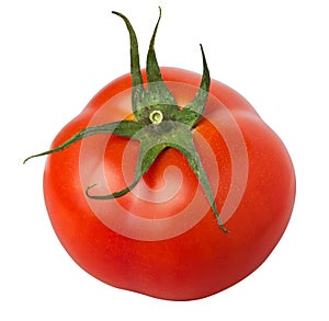 Single tomato